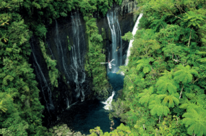 Reunion Island Intensely Tropical