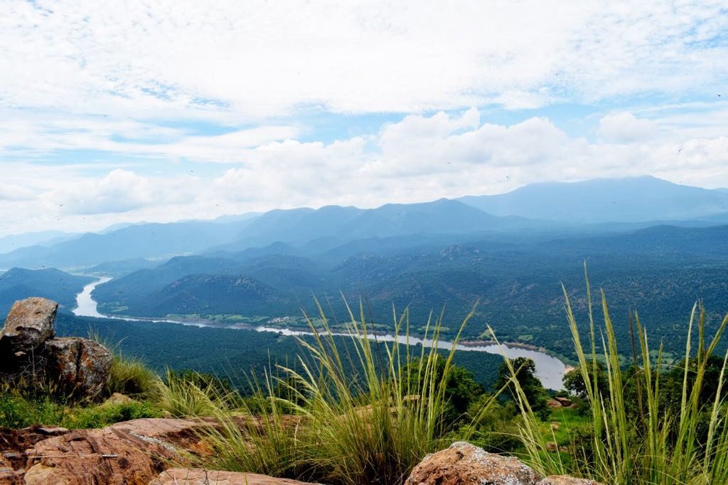 Tamil Nadu to streamline forest treks, camps to boost eco-tourism