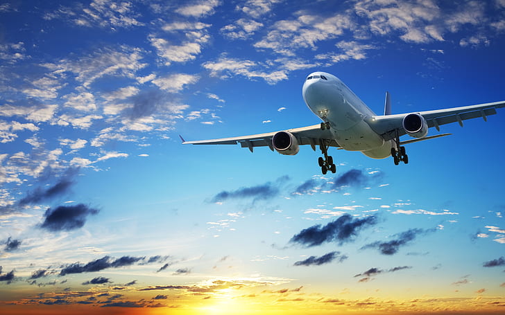 Domestic air travel bookings gather pace amid festive season