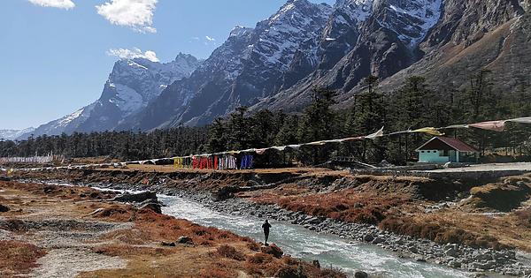 Sikkim government throws open Yumthang Valley in Lachung village for tourists