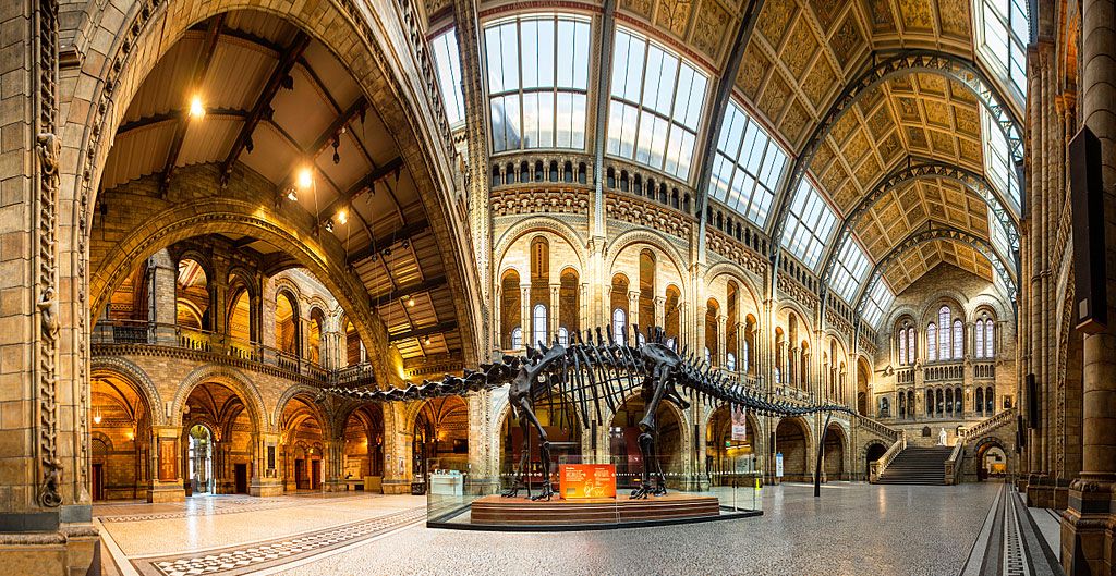 natural_history_museum_vb34141635