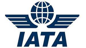Airlines to benefit from increase in travel demand: IATA