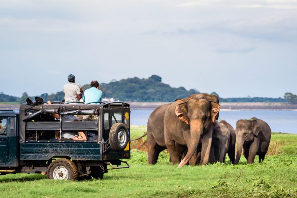Sri Lanka sees increase in tourism earnings in first quarter