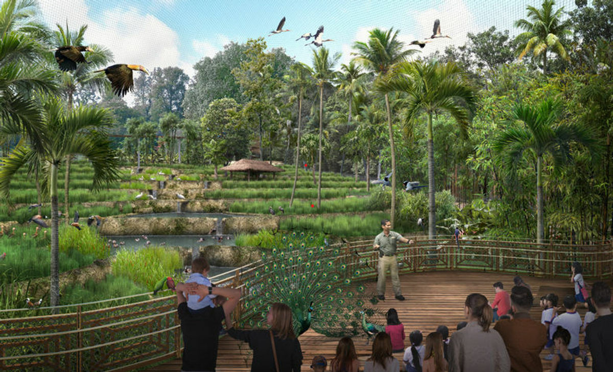 Singapore’s newest attraction Bird Paradise set to open on May 8 in time to tap Indian travellers during summer