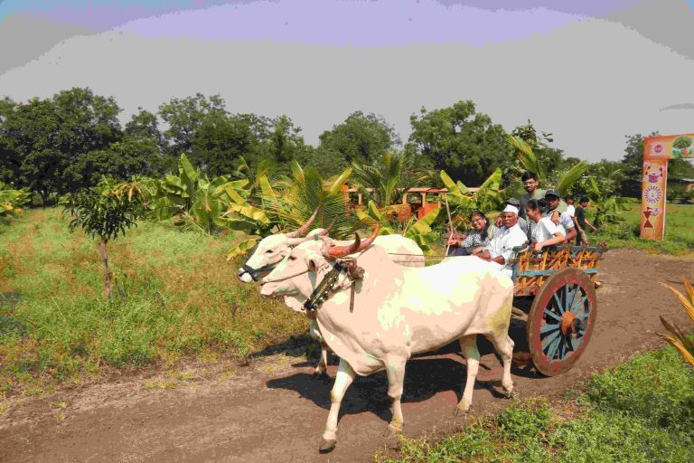 Agro-Rural Tourism Market estimated to be valued at USD 91bn in 2023