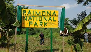 Planned conservation key to restore Assam’s Raimona National Park