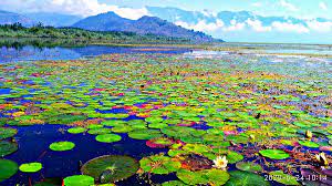 Kashmir to promote Wular Lake as tourism destination