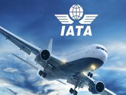 IATA: Airline industry on track for recovery in 2024