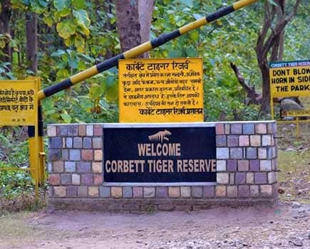 Corbett’s newest attraction Kota tourist zone open for wildlife visitors
