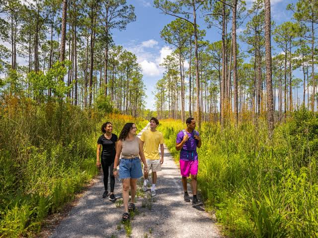 Southern Charm and Bayou Magic A Quick Guide to Louisiana’s 13 Regions