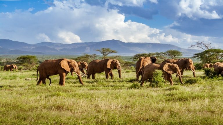 South Africa is a popular destination in Africa.