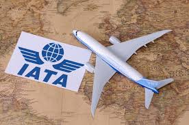 Global air passenger demand surges 8.6% in August: IATA