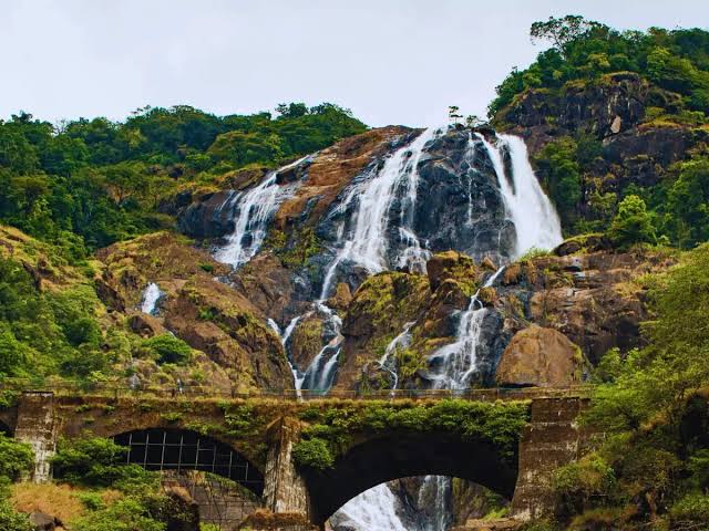 Dudhsagar Falls Jeep Tours officially resume operations