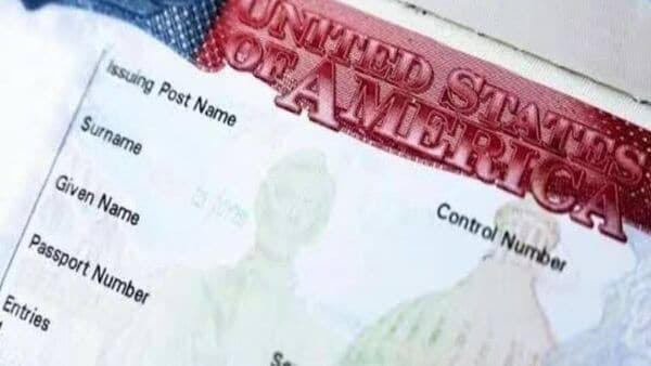 Over 1 mn non-immigrant visas issued to Indians in 2024