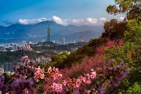 Taiwan has seen a growing surge in visitations from India.