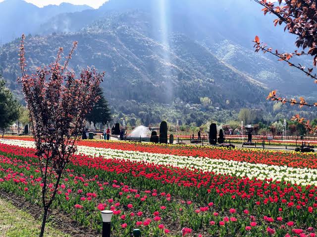 J&K’s Tourism Revival: A Paradise Reclaimed