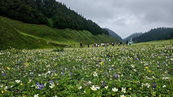 J&K opens Bhal Padri for tourism
