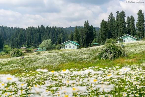 Yousmarg to expand eco-tourism with new trekking trails