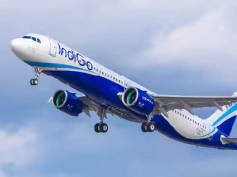 IndiGo raises fees for infant and ancillary services